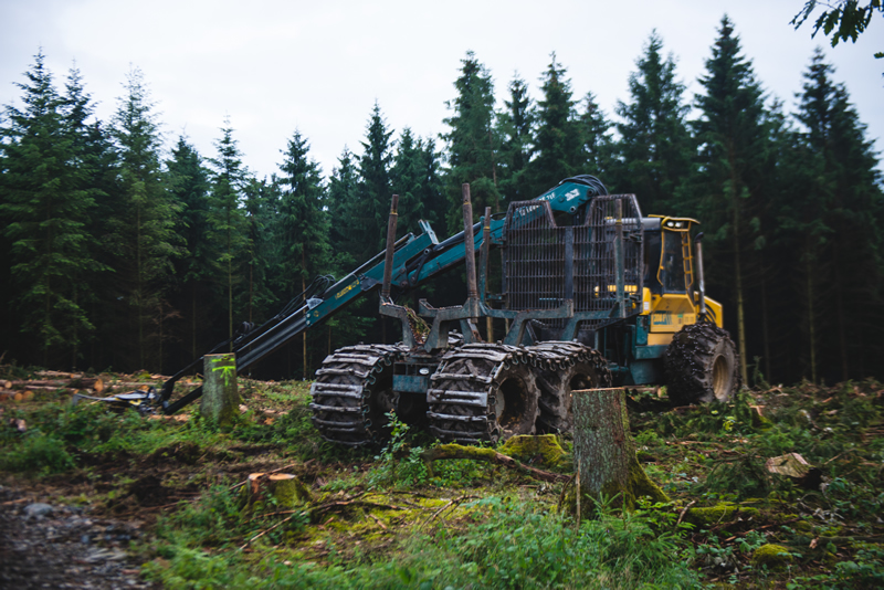 Innovación, Tecnología y Sustentabilidad Forestal